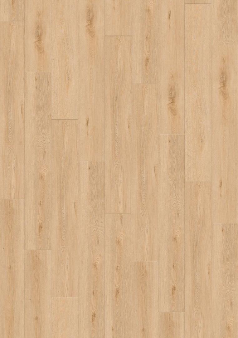 Aquinoah Blond