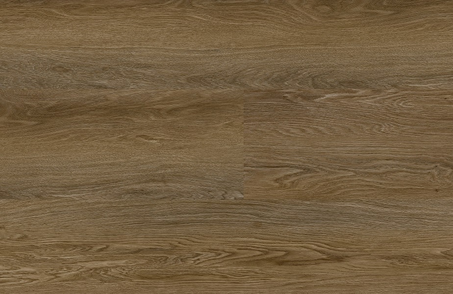 Dark Oak