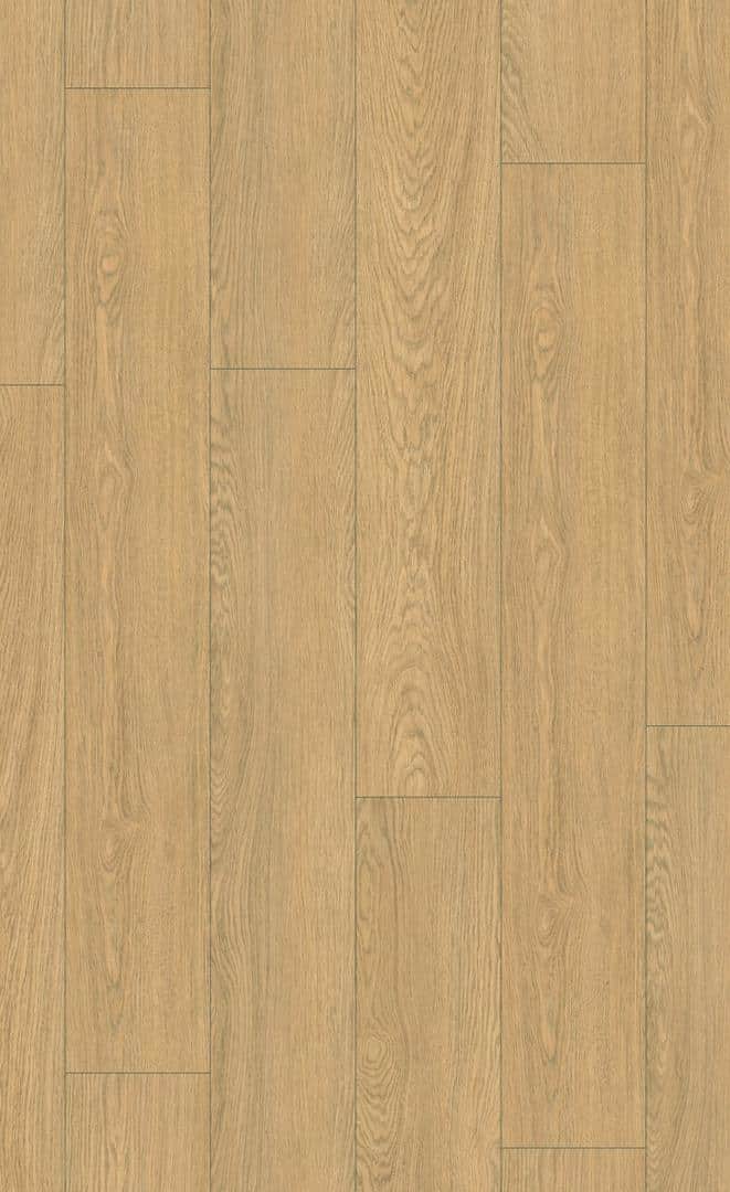 Lounge Oak Natural 55 Acoustic