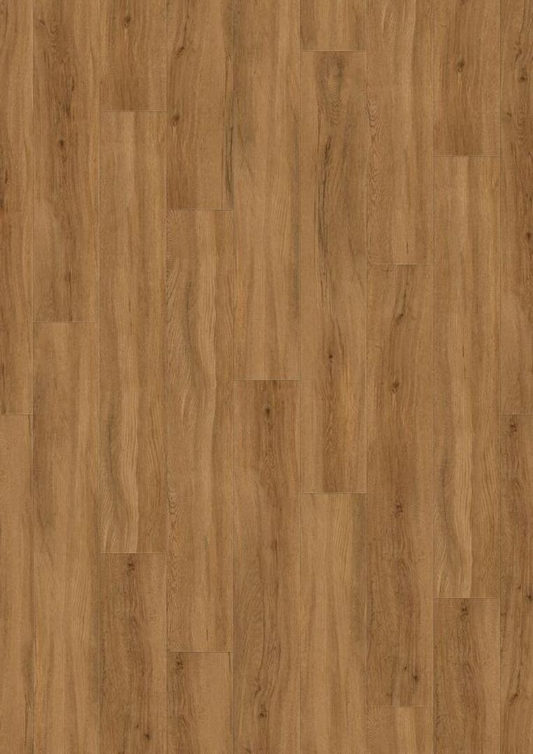 Quartet Natural 55 CLIC