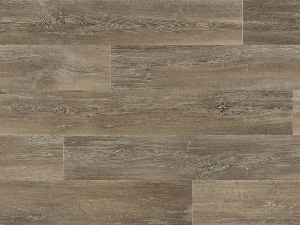 Lime Oak 609M